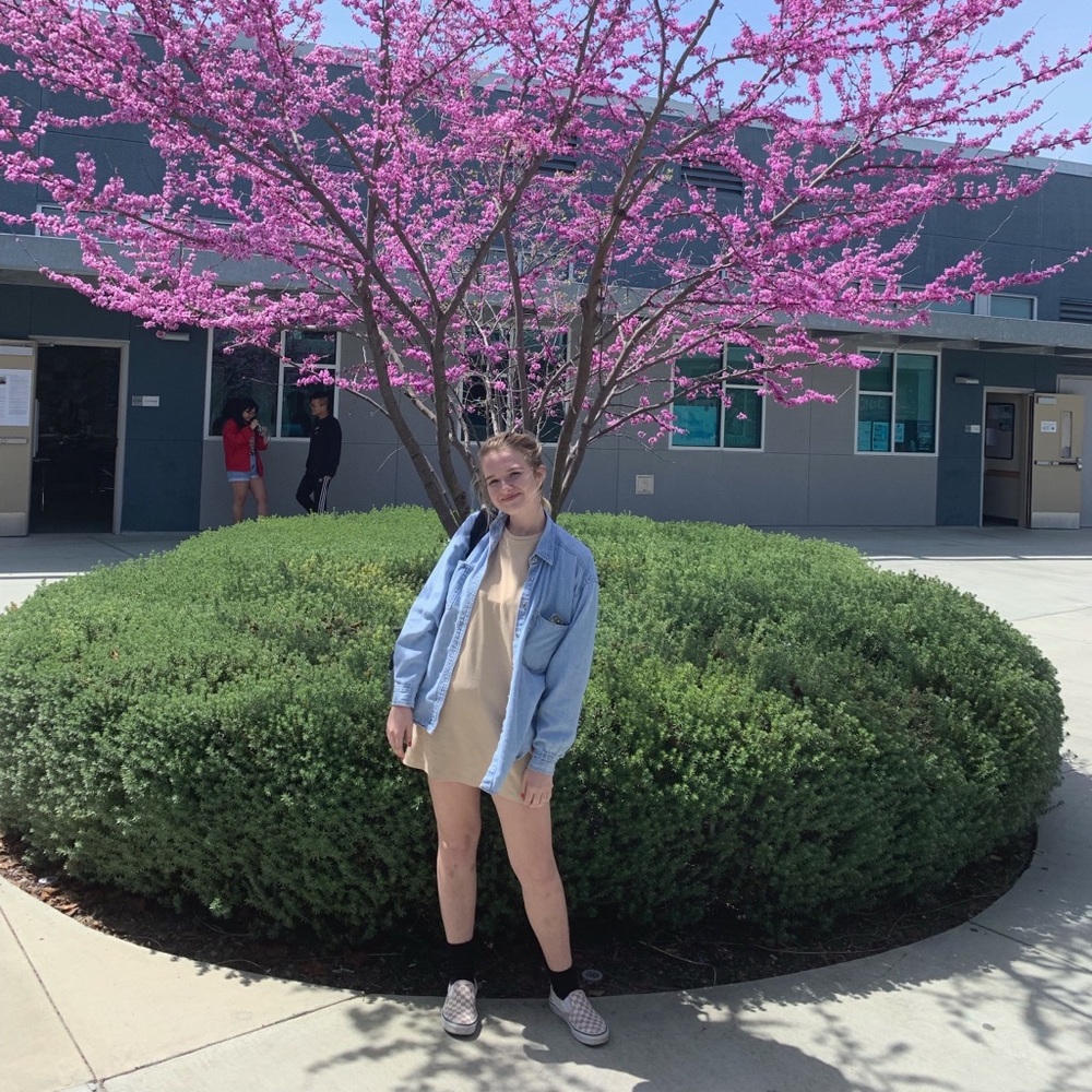 Posh Ambassador Paige - SunshineFlowersGirlPowers